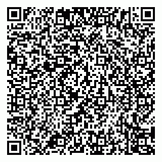 vCard 79994700311