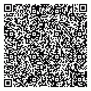 vCard 79994700313