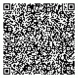 vCard 79994700315