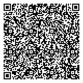 vCard 79994700319