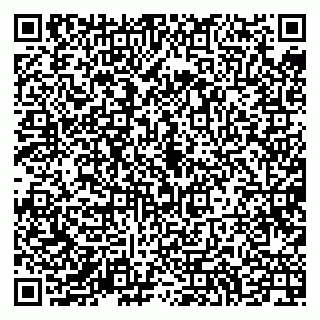 vCard 79994700329