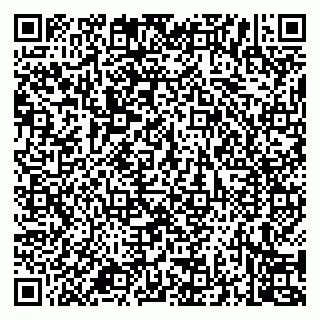 vCard 79994700333
