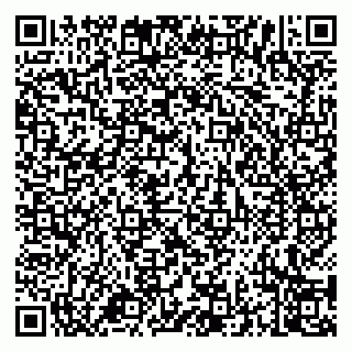 vCard 79994700338