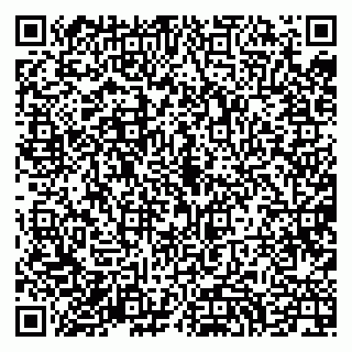 vCard 79994700354