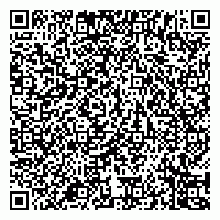 vCard 79994700359