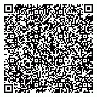 vCard 79994700363