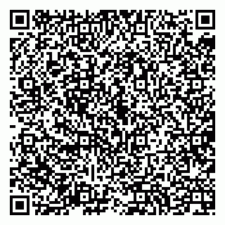 vCard 79994700369