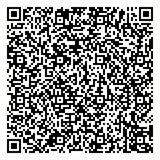 vCard 79994700373
