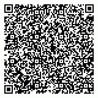 vCard 79994700379