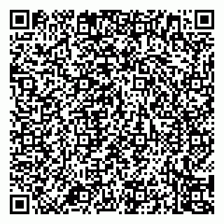 vCard 79994700381