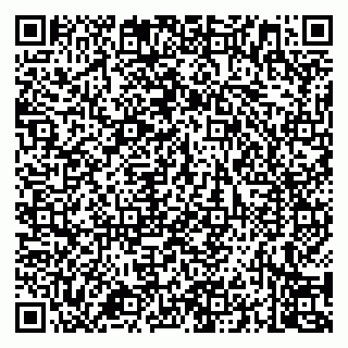 vCard 79994700382