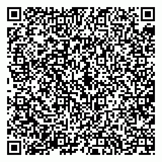 vCard 79994700383