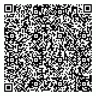 vCard 79994700384