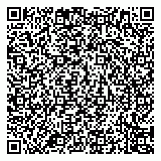 vCard 79994700385