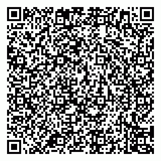 vCard 79994700387