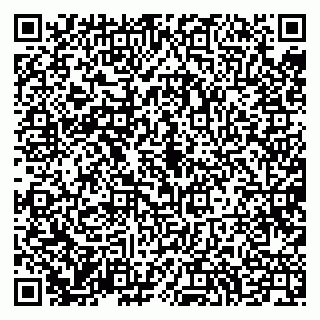 vCard 79994700388