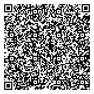 vCard 79994700398