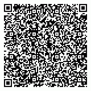 vCard 79994700399