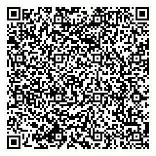 vCard 79994770001