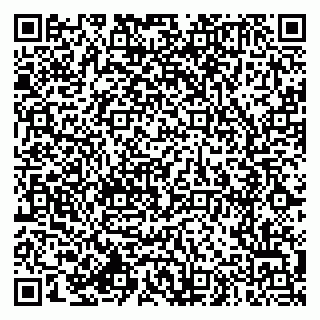 vCard 79994770003