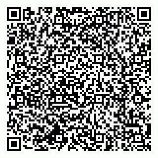 vCard 79994770017