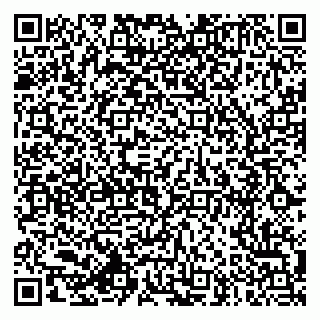 vCard 79994770020