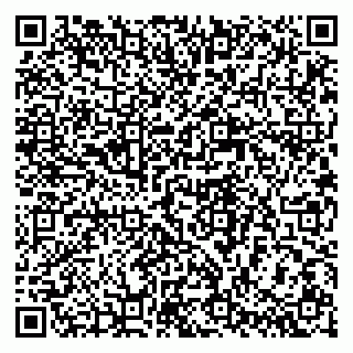 vCard 79994770084