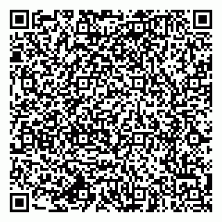 vCard 79994770093