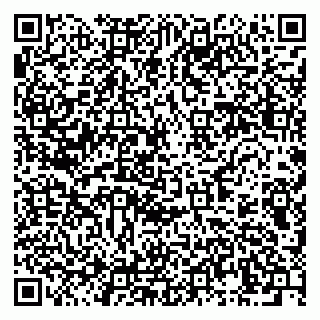 vCard 79994770100