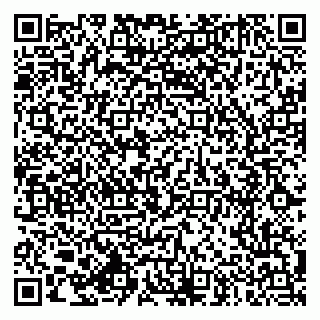 vCard 79994770101