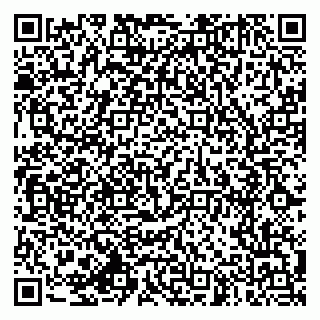 vCard 79994770103