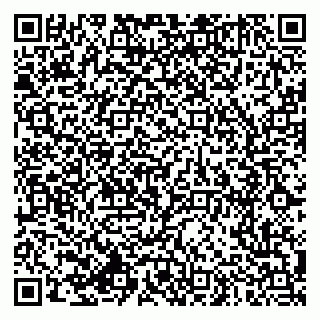 vCard 79994770108