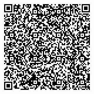 vCard 79994770132