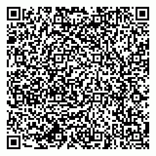 vCard 79994770133
