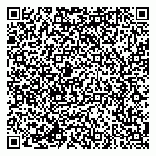 vCard 79994770138