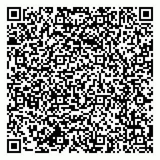 vCard 79994770203