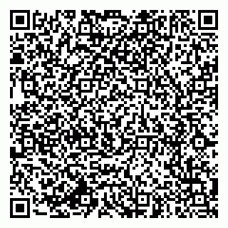 vCard 79994770205