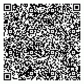 vCard 79994770209
