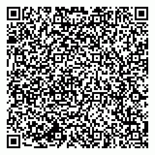 vCard 79994770219