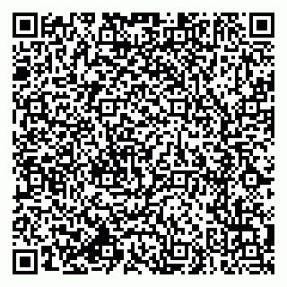 vCard 79994770233