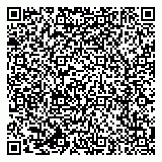 vCard 79994770245