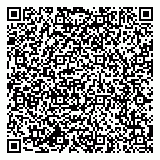 vCard 79994770249