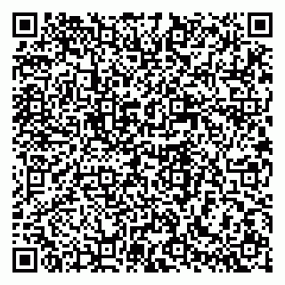 vCard 79994770279