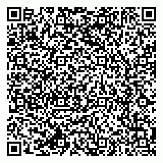 vCard 79994770281