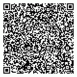 vCard 79994770295
