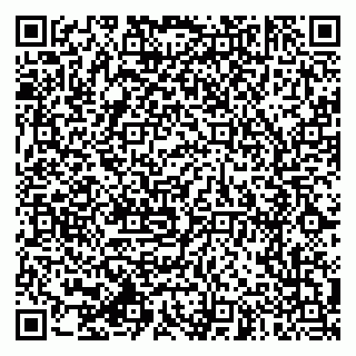 vCard 79994770305