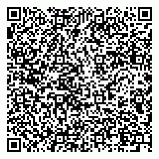 vCard 79994770313