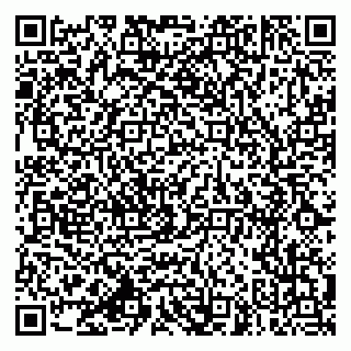 vCard 79994770333