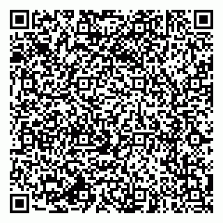 vCard 79994770371