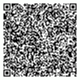 vCard 79994770387